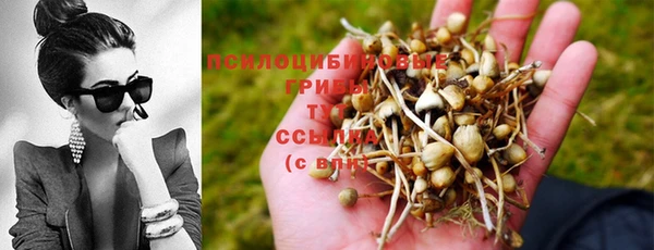 дживик Алзамай